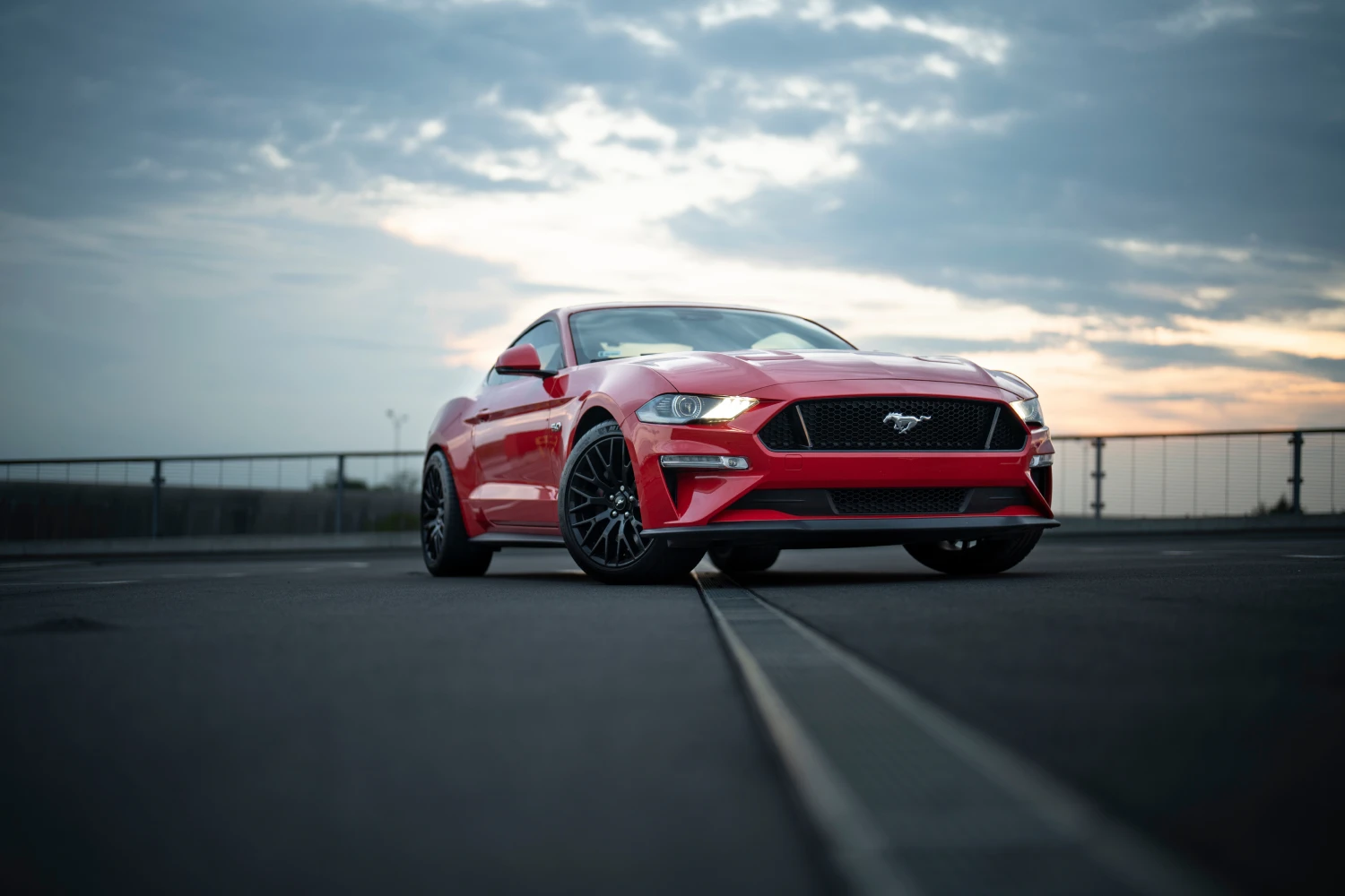 Ford Mustang trunk organizer