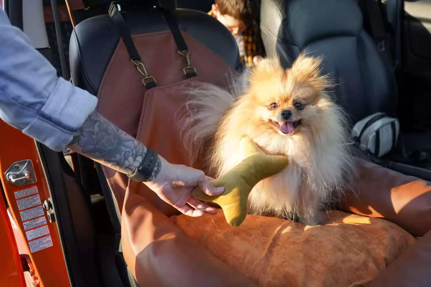 Icelandic Sheepdogs Dog Car Seat for Kia Forte