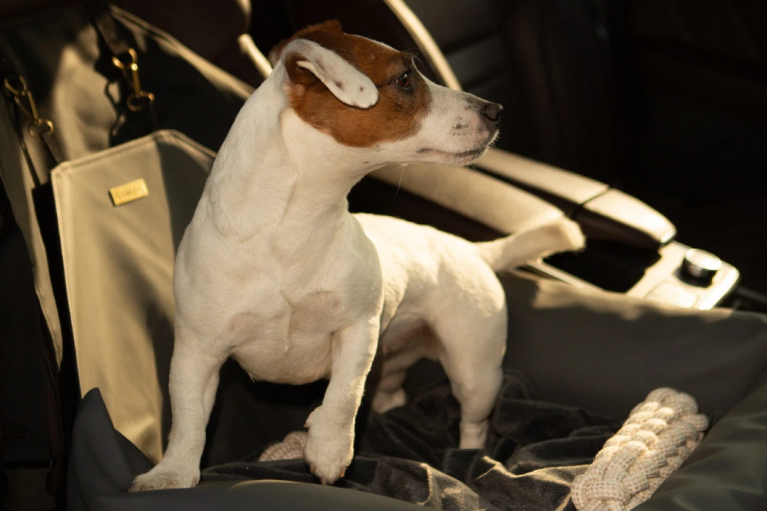 Volkswagen Tiguan Dog Car Seat for West Highland Terriers