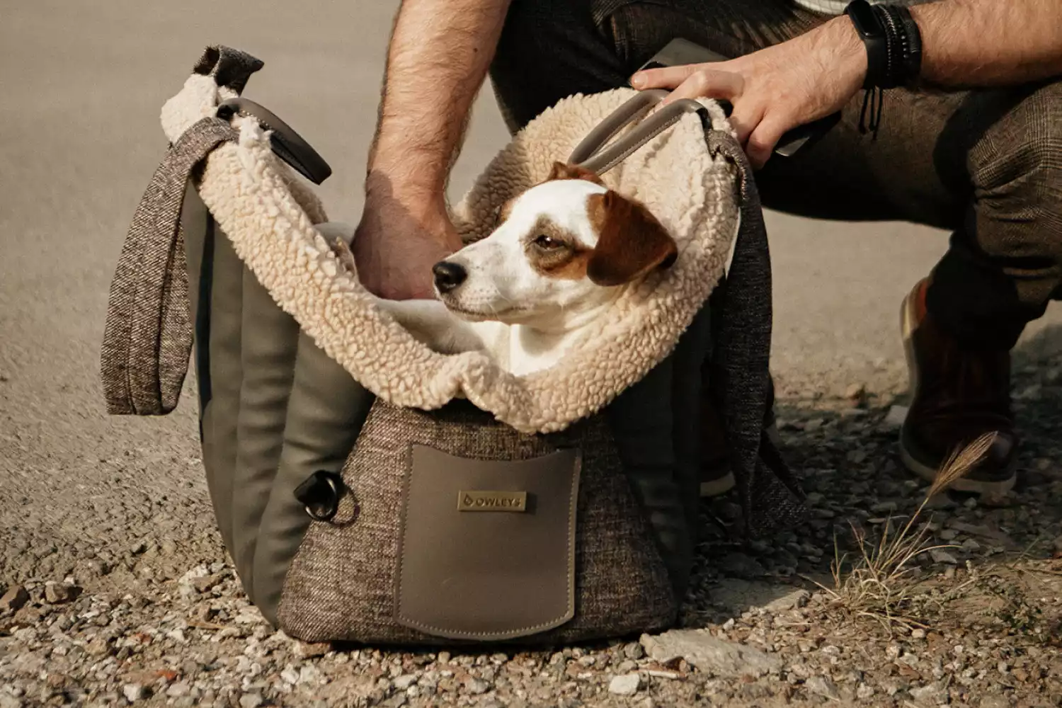 Dog Carrier Purse for Lowchen