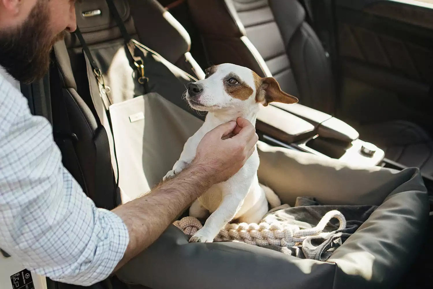 American Water Spaniels Dog Car Seat for GMC Acadia