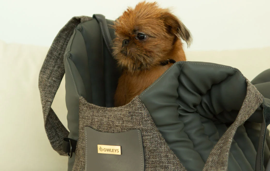 Belgian Griffon Dog Carrier Car Seat for Dodge Charger